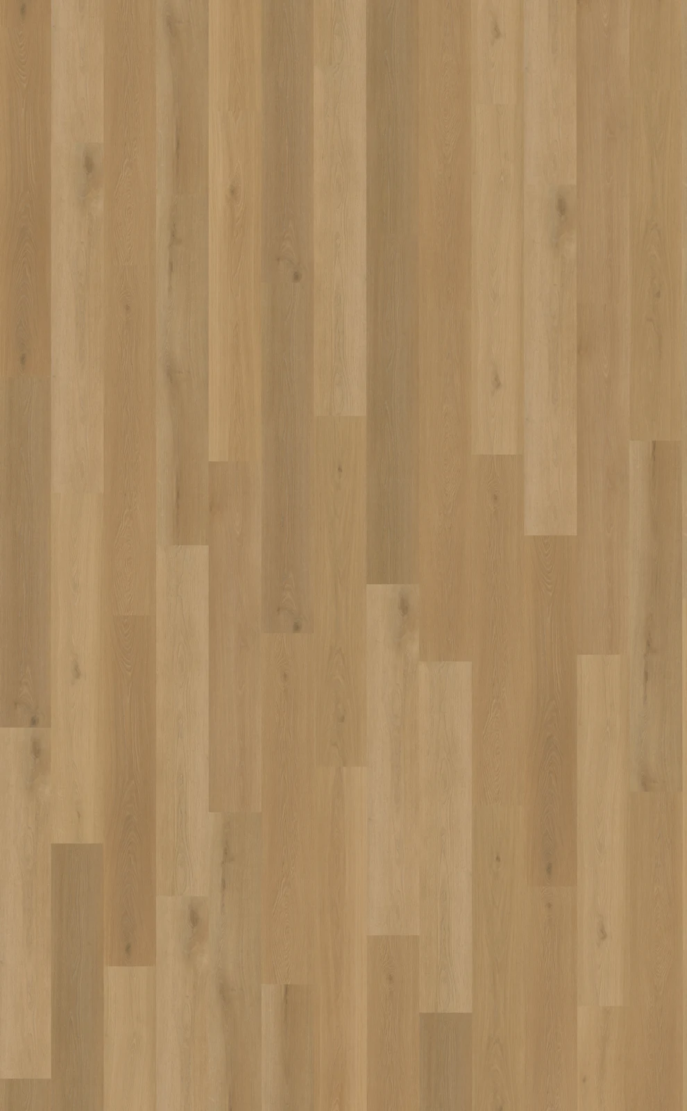 Belakos Borgo 320
